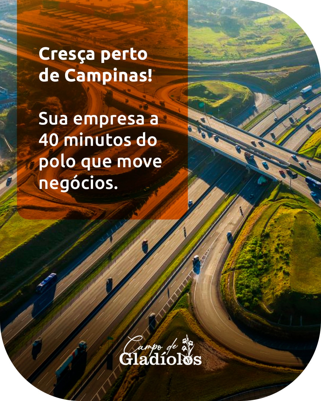 campo de gladiolos condominio comercial industrial holambra