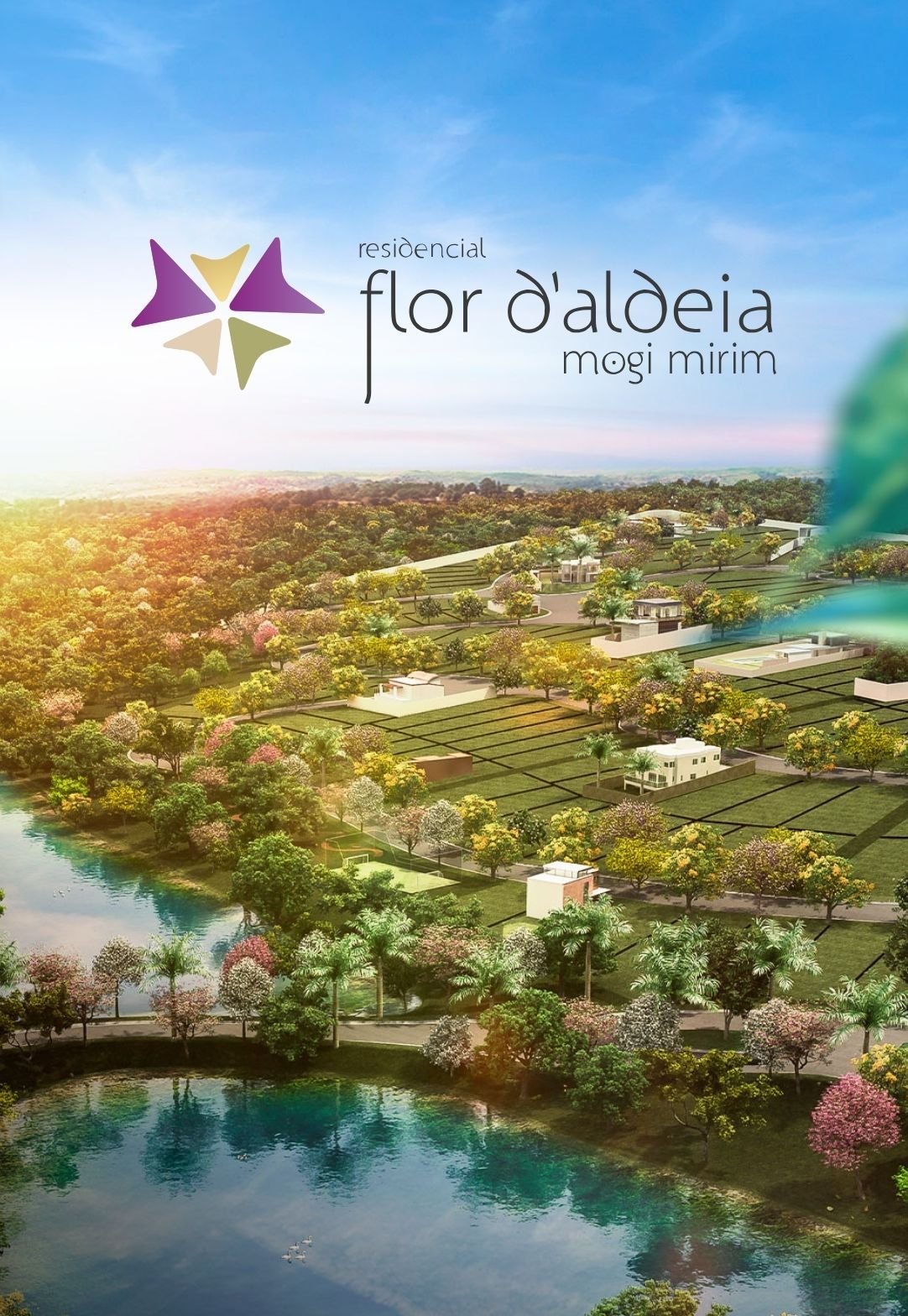 flor d aldeia mogi mirim